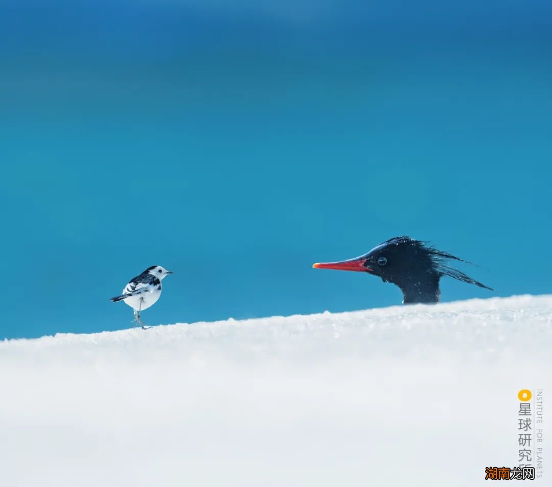 去长白山撒野!寻觅雪国秘境