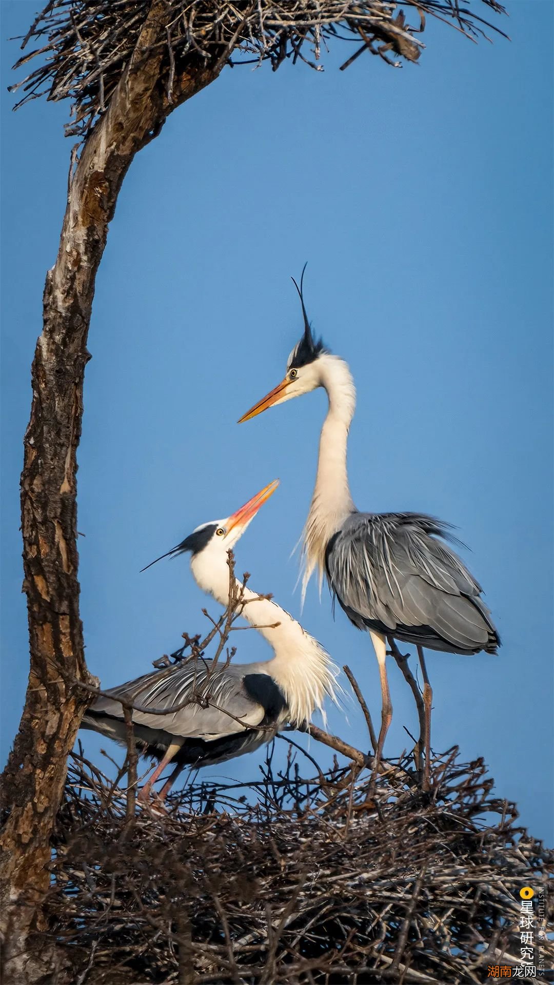 去长白山撒野!寻觅雪国秘境