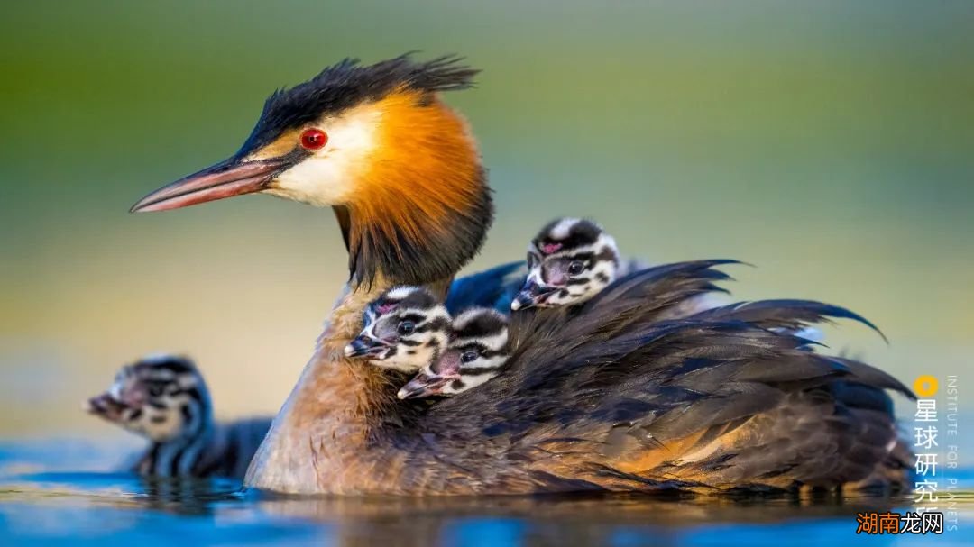 去长白山撒野!寻觅雪国秘境