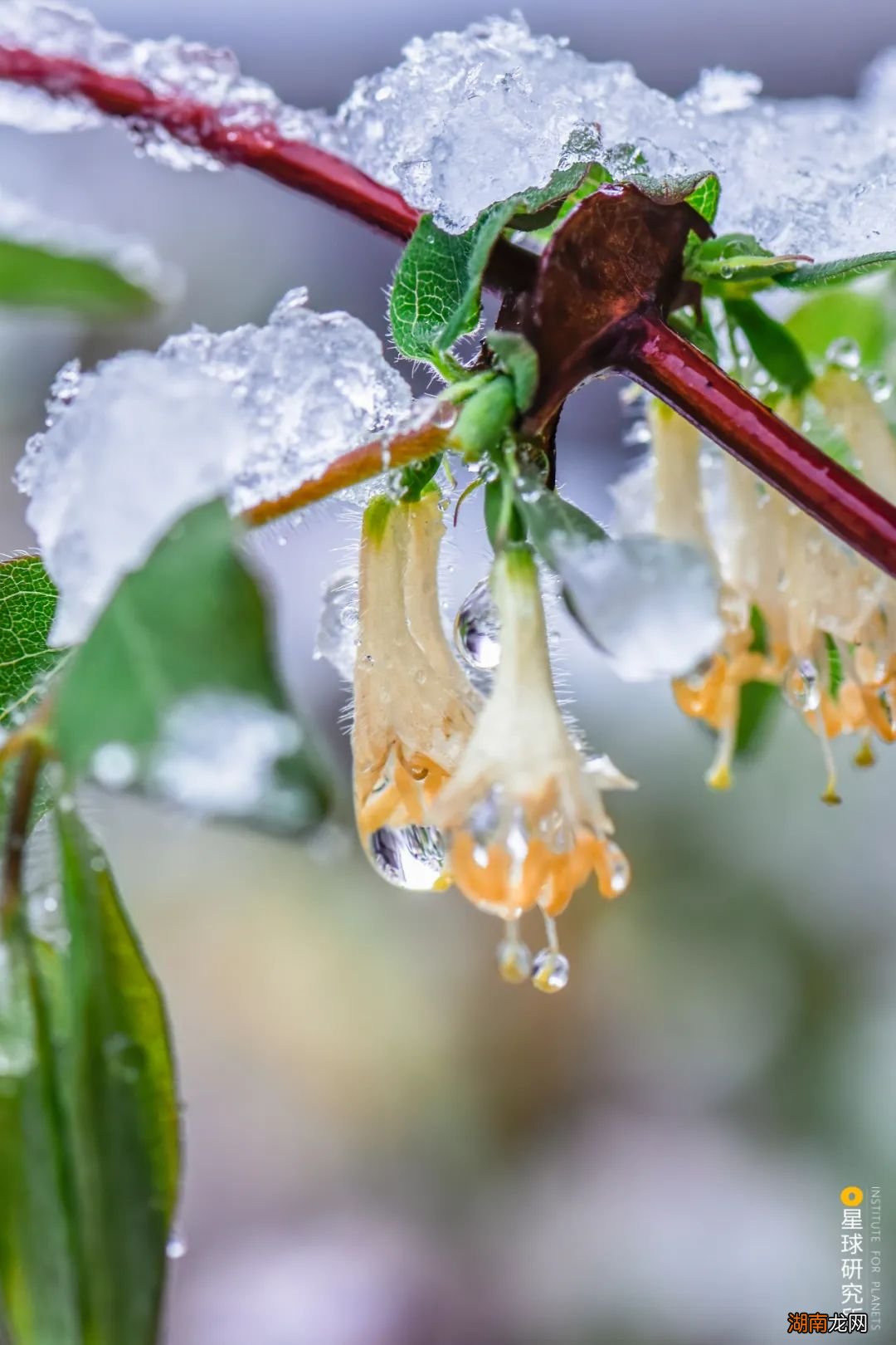 去长白山撒野!寻觅雪国秘境