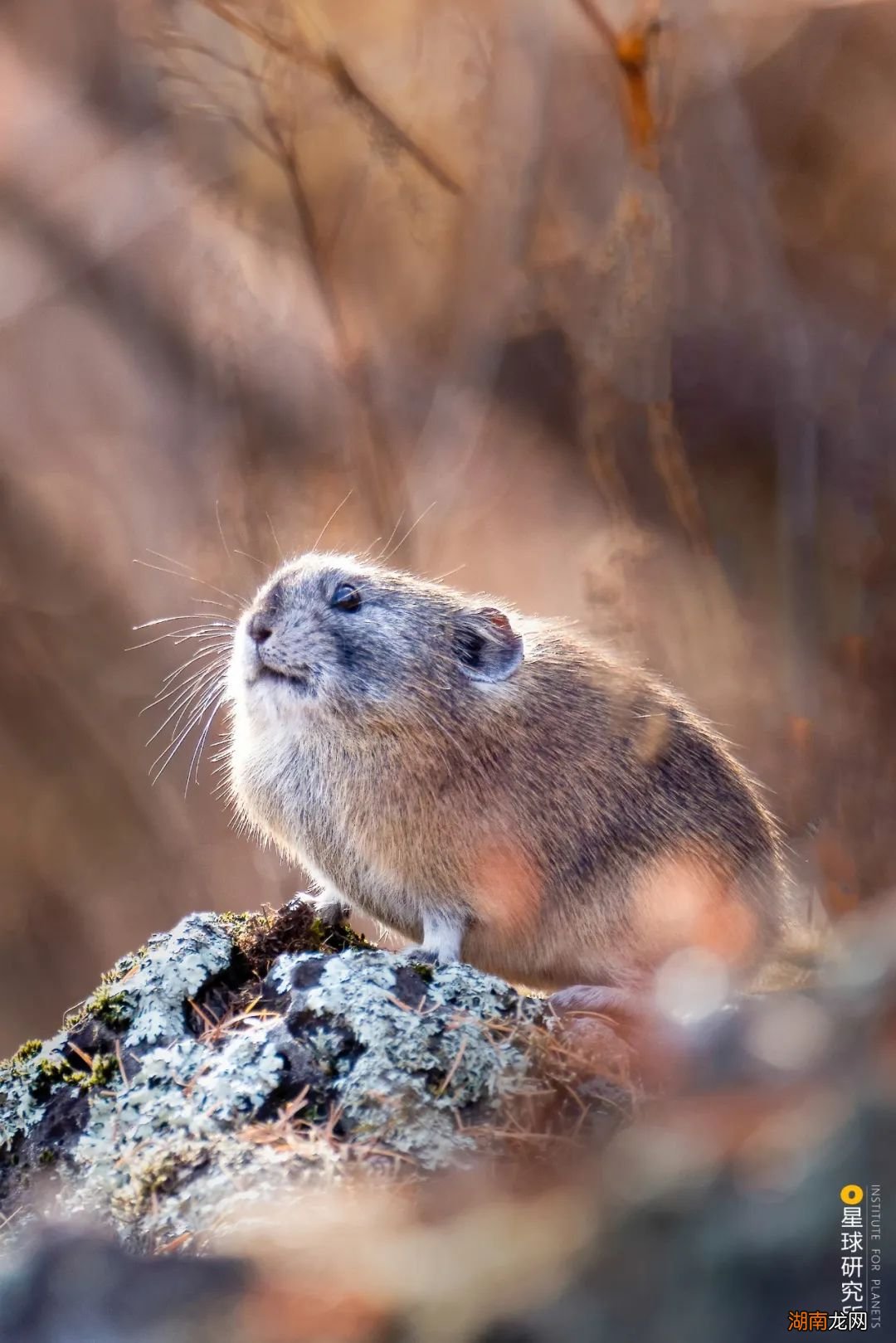 去长白山撒野!寻觅雪国秘境