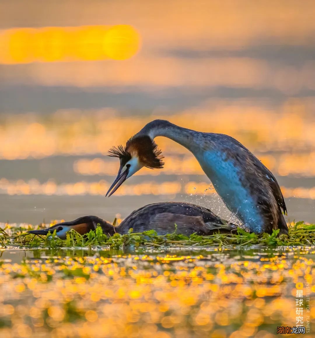 去长白山撒野!寻觅雪国秘境