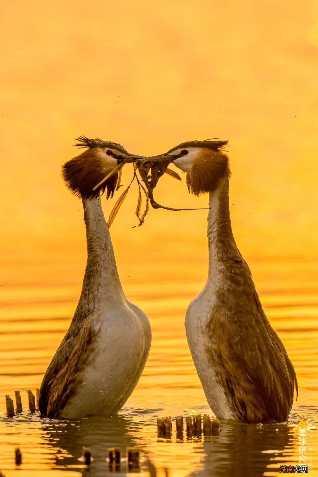 去长白山撒野!寻觅雪国秘境