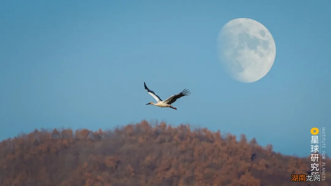 去长白山撒野!寻觅雪国秘境