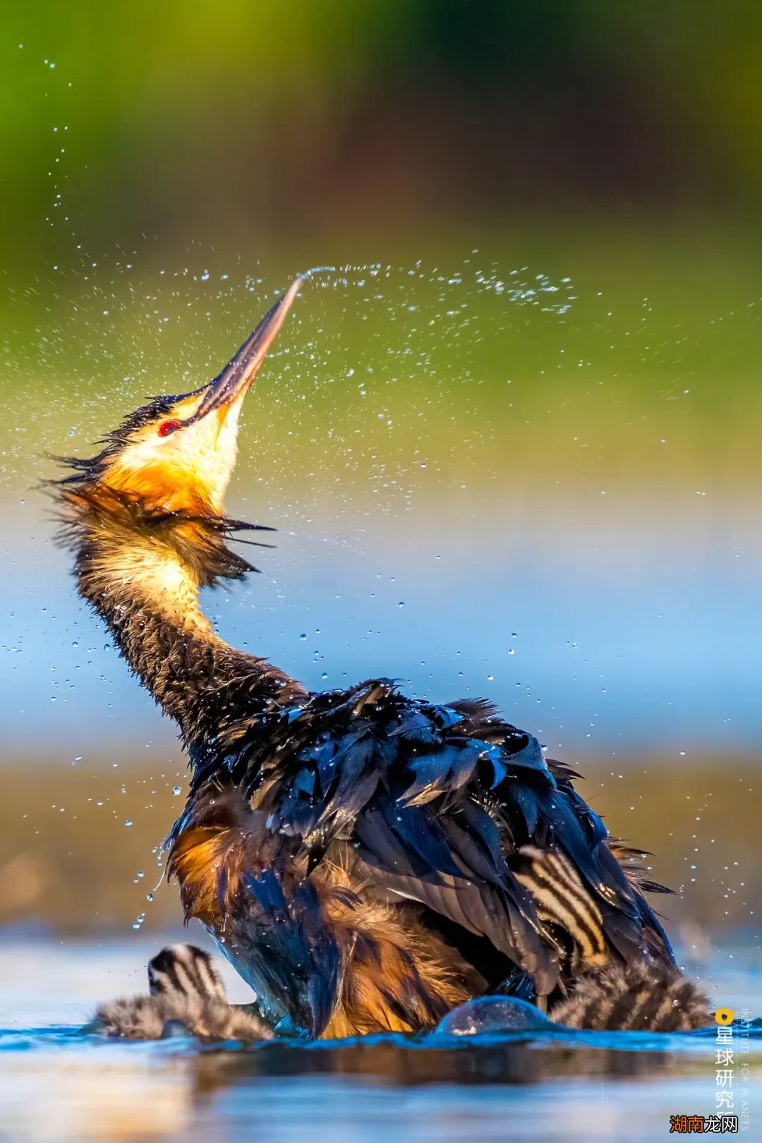 去长白山撒野!寻觅雪国秘境