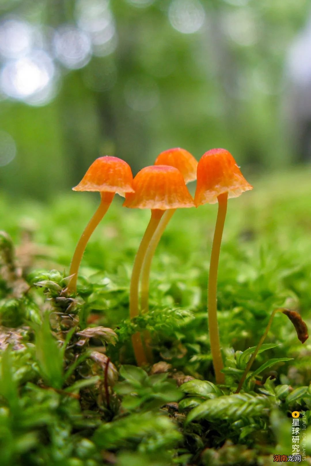 去长白山撒野!寻觅雪国秘境