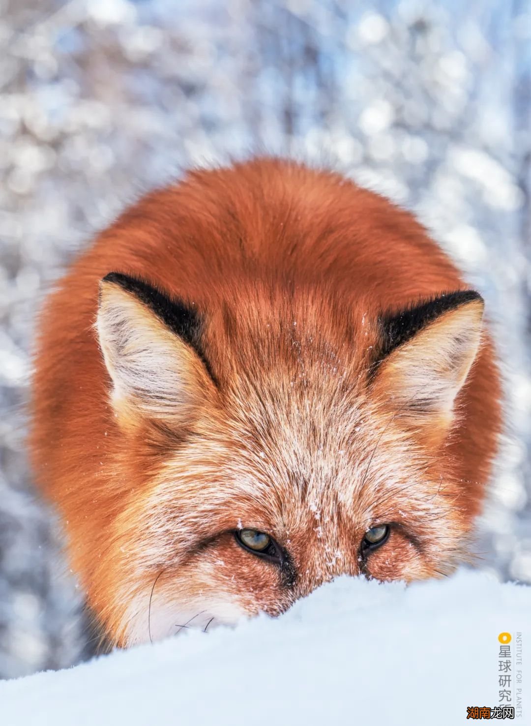 去长白山撒野!寻觅雪国秘境