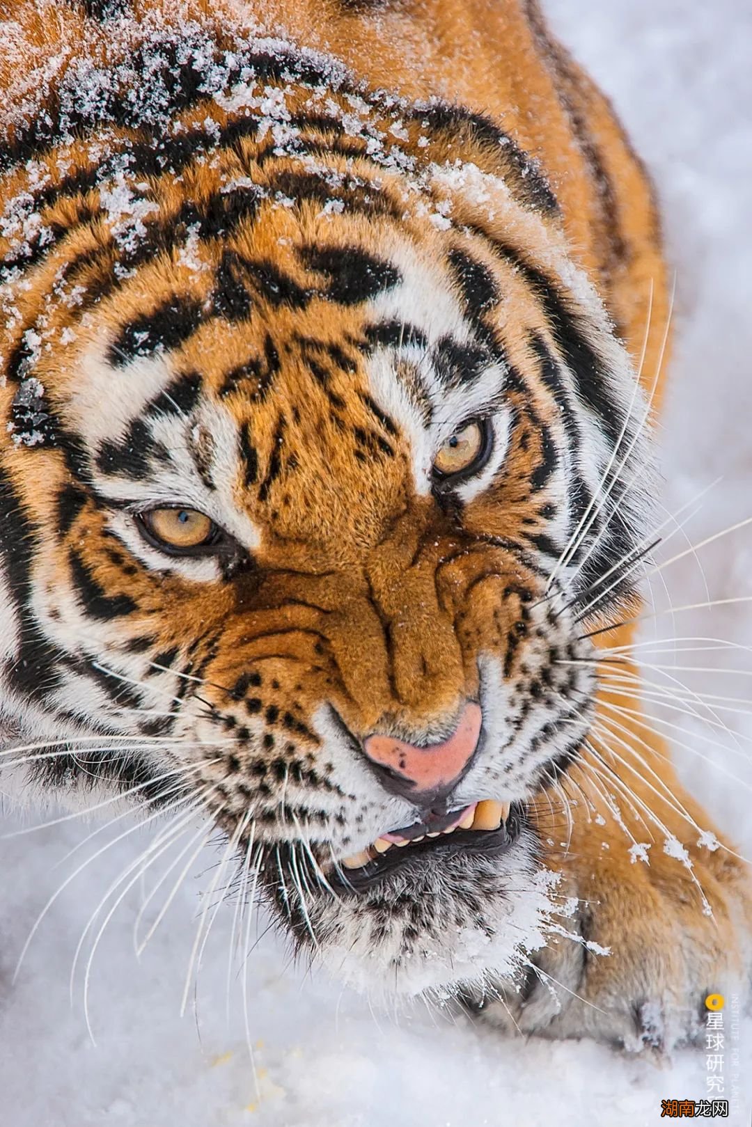 去长白山撒野!寻觅雪国秘境
