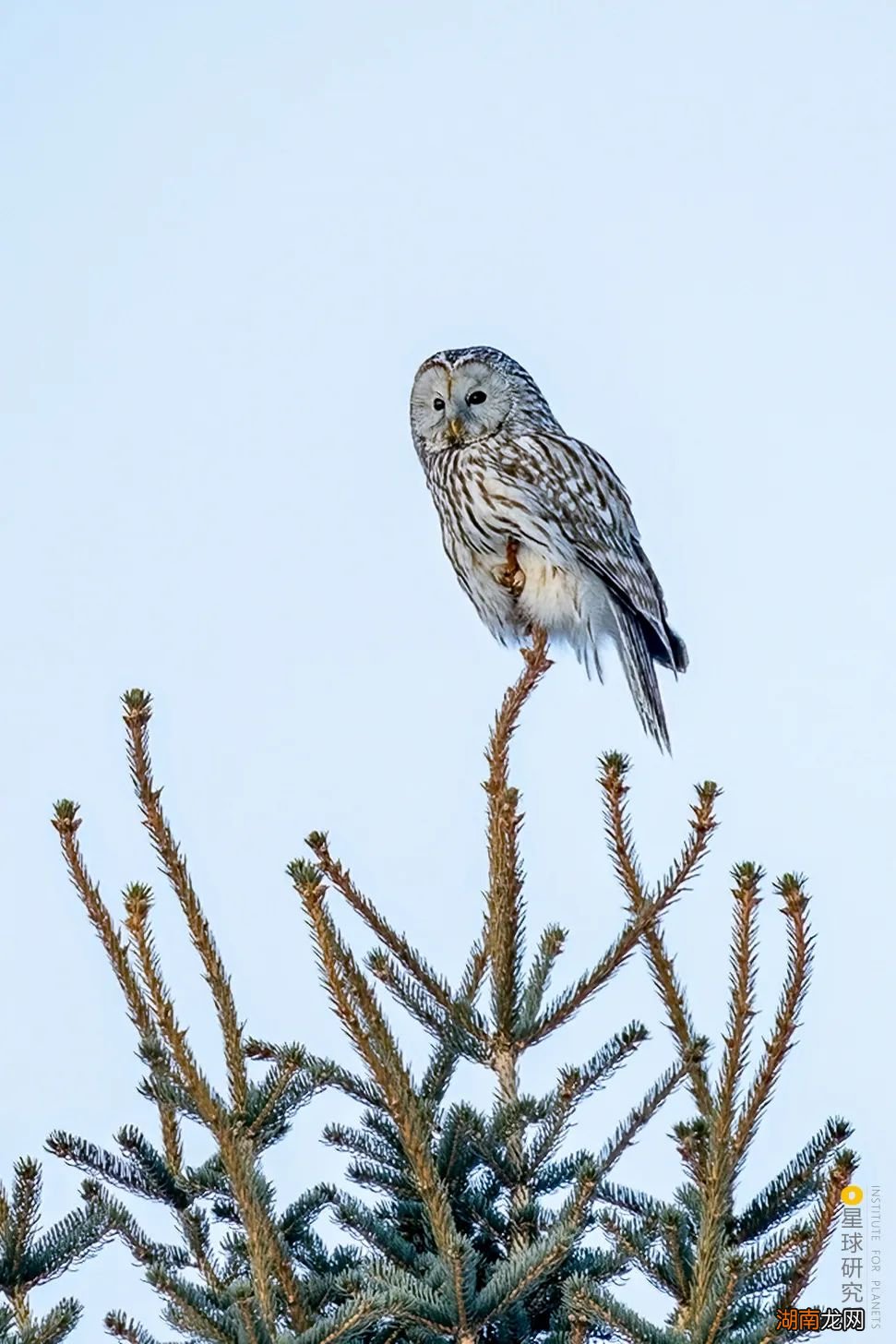 去长白山撒野!寻觅雪国秘境