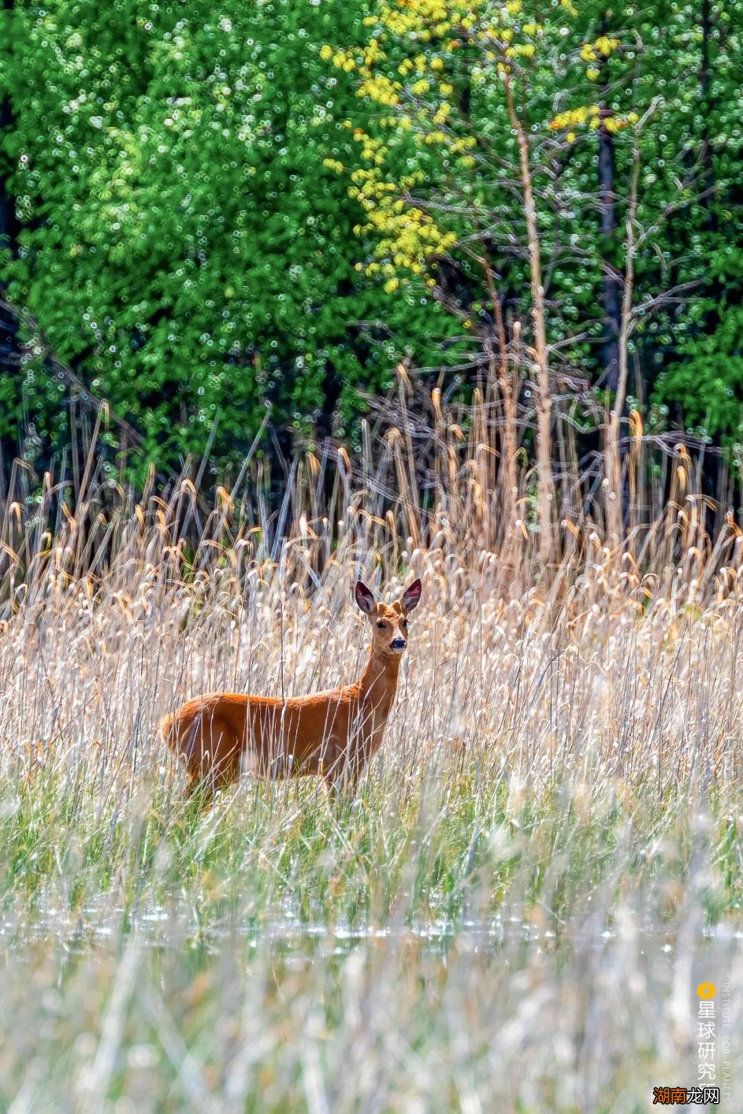 去长白山撒野!寻觅雪国秘境