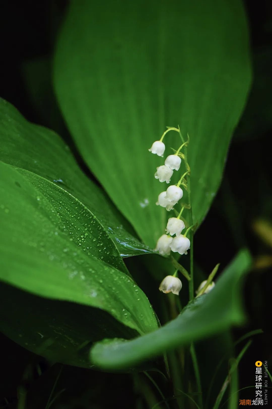 去长白山撒野!寻觅雪国秘境