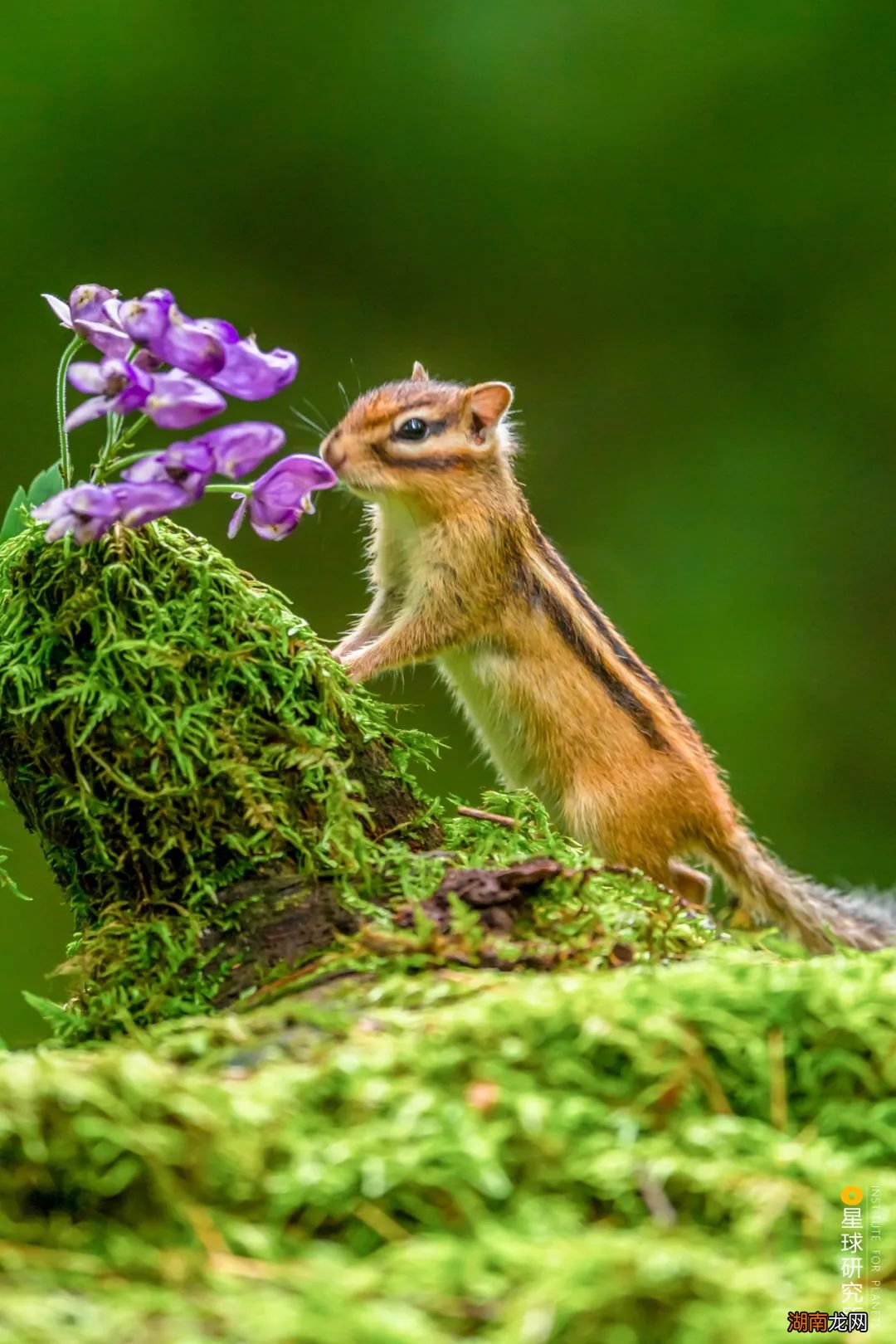去长白山撒野!寻觅雪国秘境