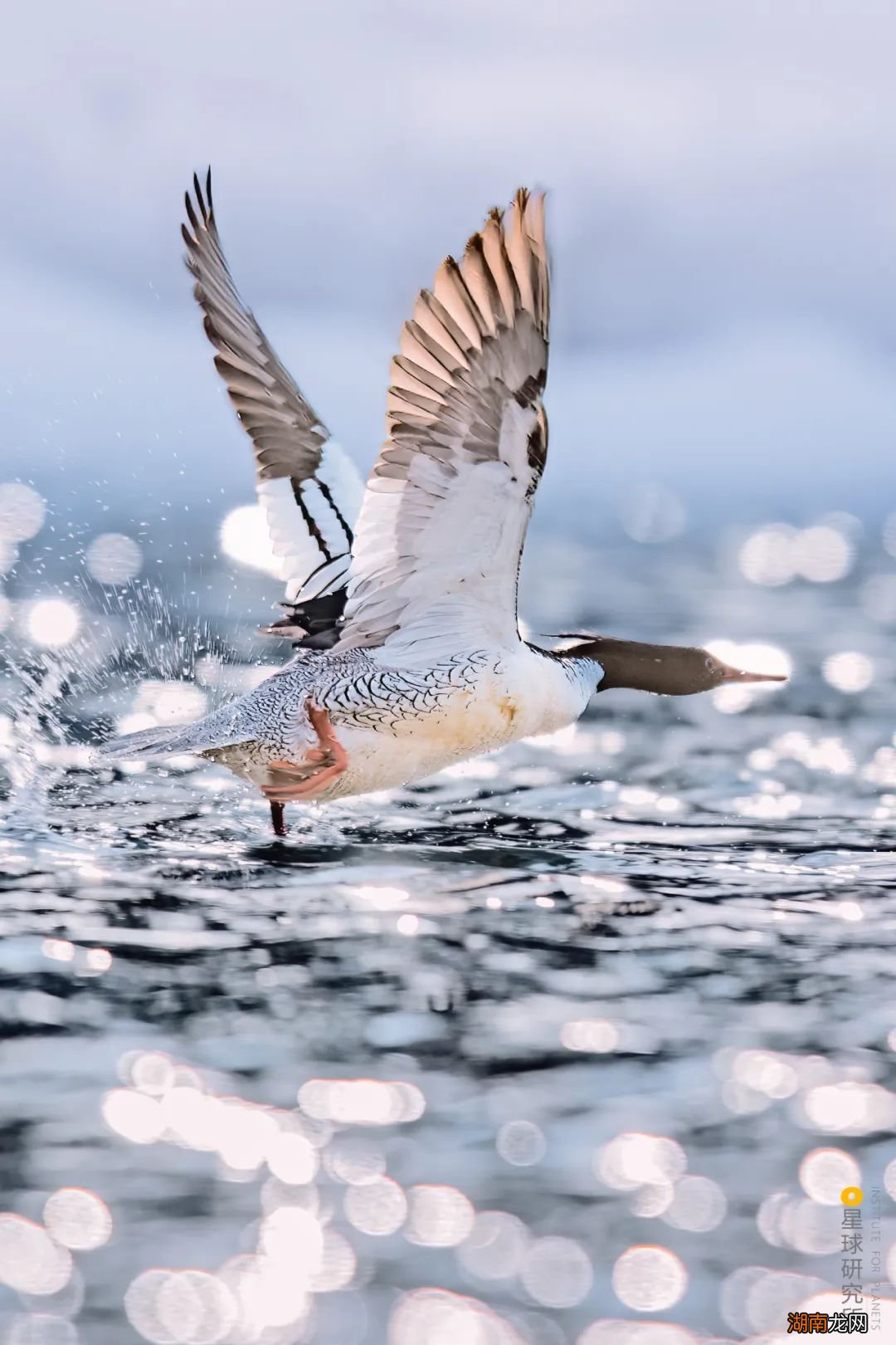 去长白山撒野!寻觅雪国秘境