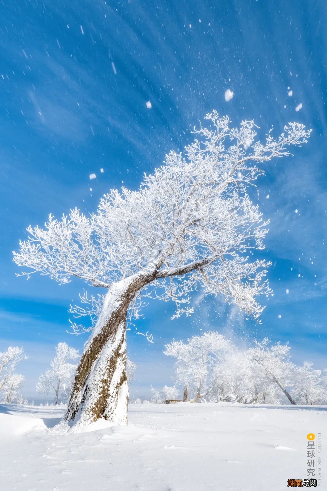 去长白山撒野!寻觅雪国秘境