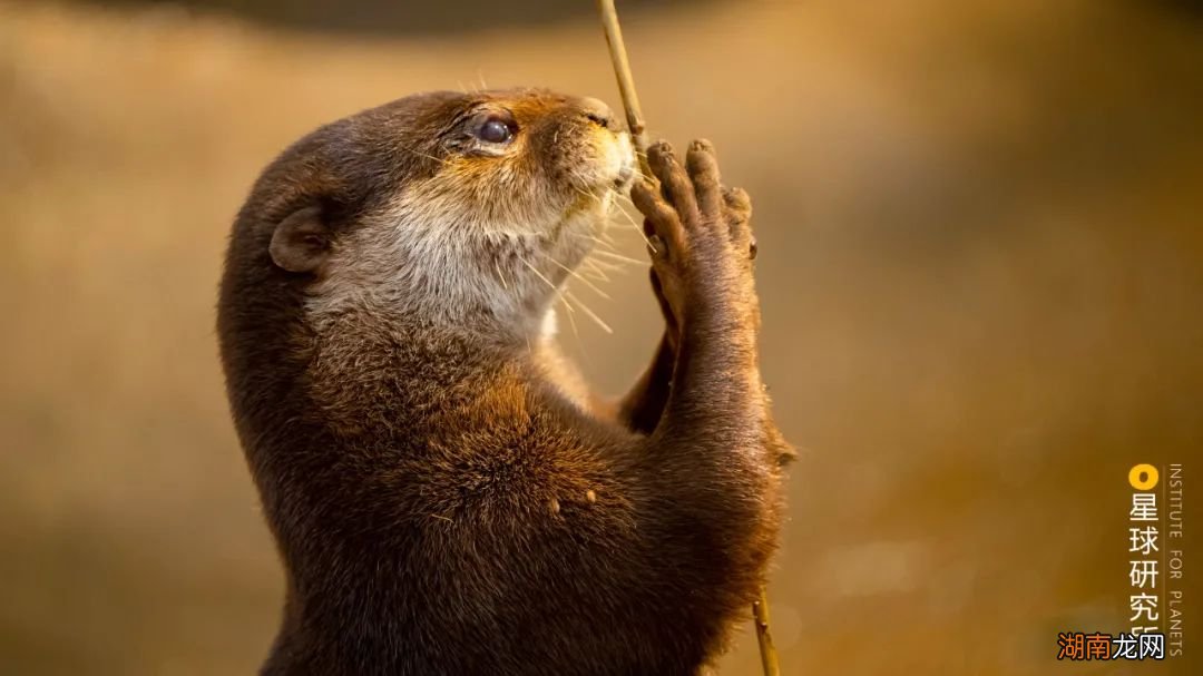 去长白山撒野!寻觅雪国秘境
