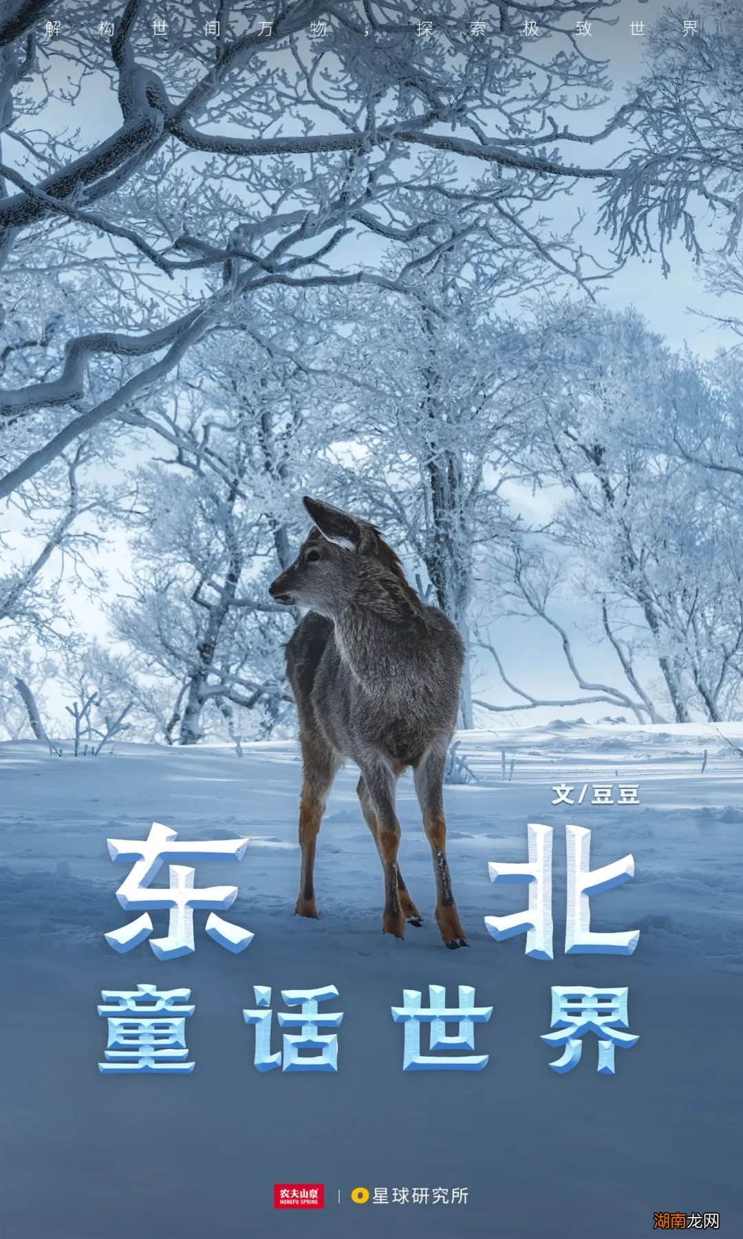 去长白山撒野!寻觅雪国秘境