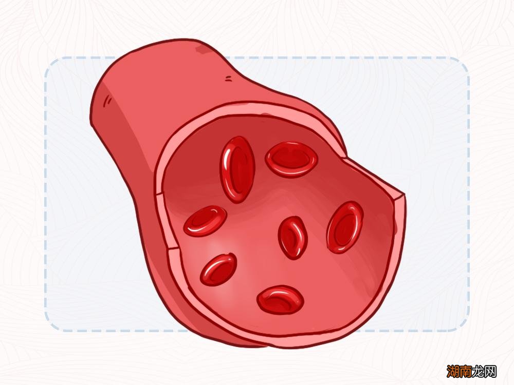 贫血的影响可能比你想象中要大！如何自我判断有无贫血？