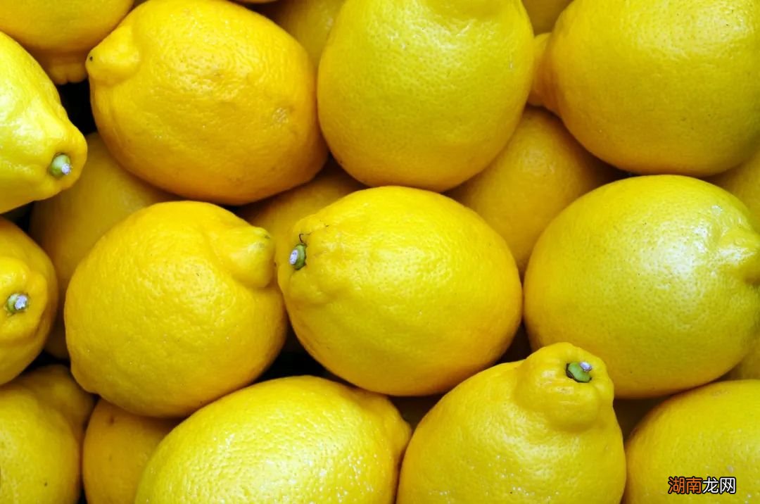 原来丑橘不是橘子!奇怪的知识又增加了……