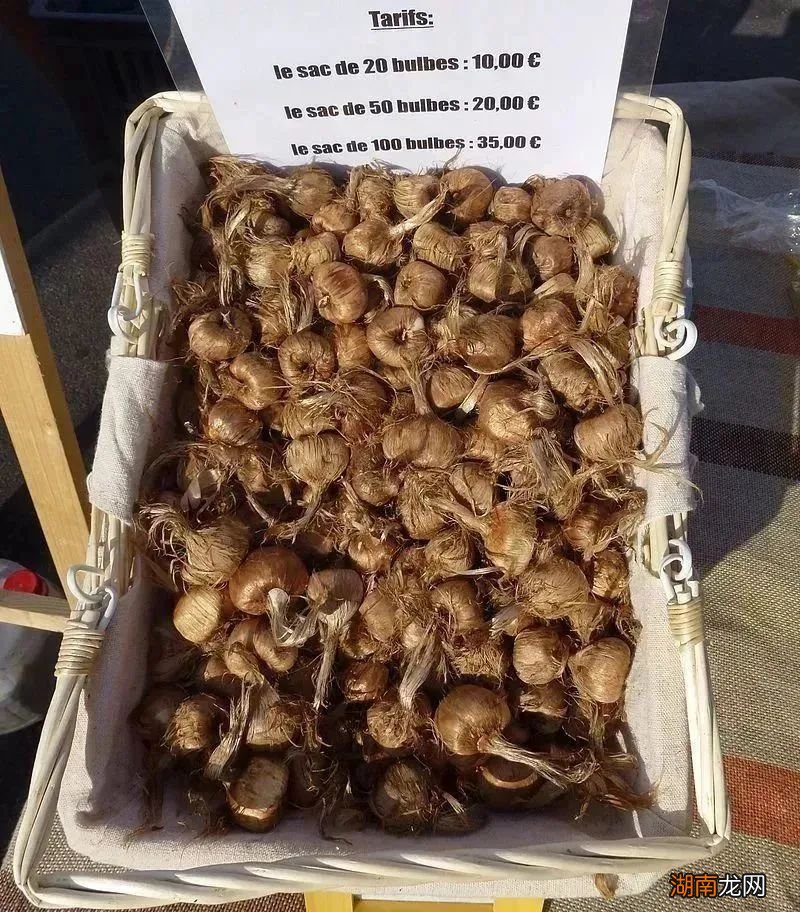 世界上最贵的红，或许你也吃过