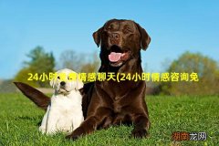 24小时情感咨询免费 24小时免费情感聊天