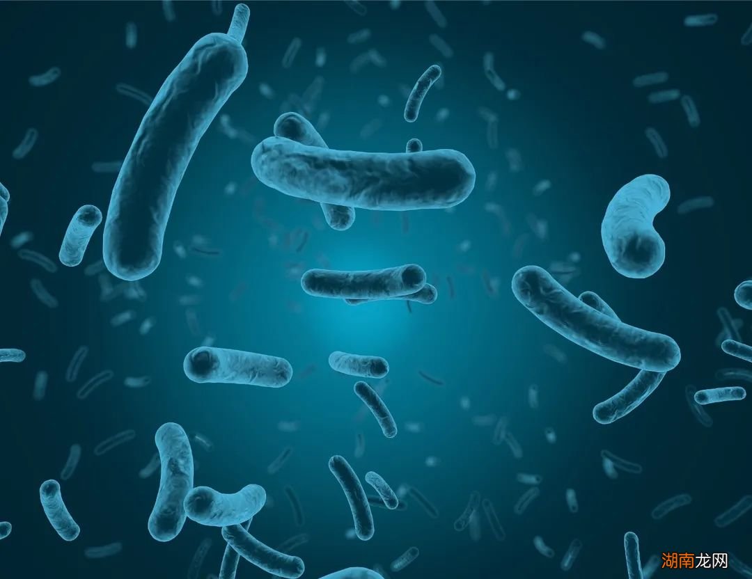 亦敌亦友,微生物对人类健康有何影响?