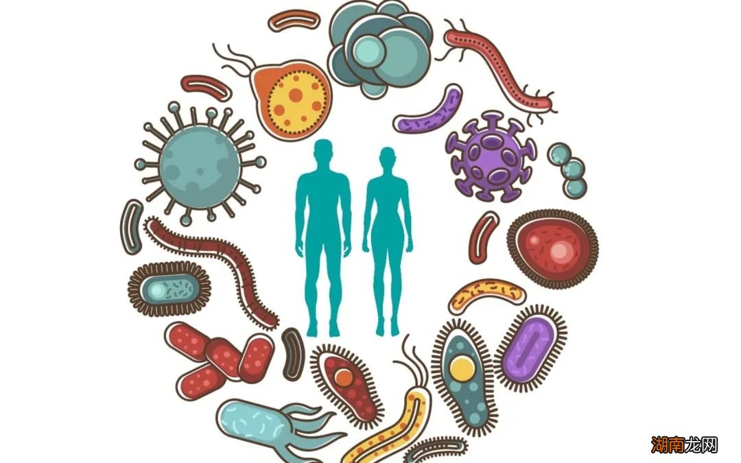 亦敌亦友,微生物对人类健康有何影响?