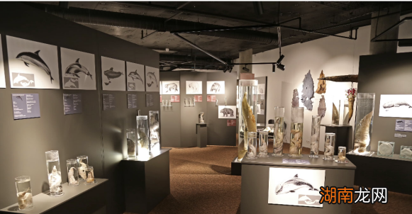 从臭豆腐到麻辣兔头，这些收藏怎么都能进博物馆？