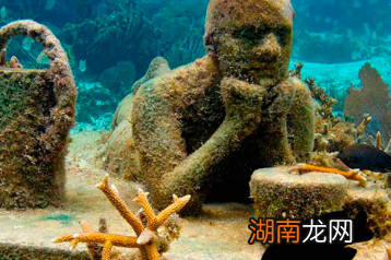 从臭豆腐到麻辣兔头，这些收藏怎么都能进博物馆？