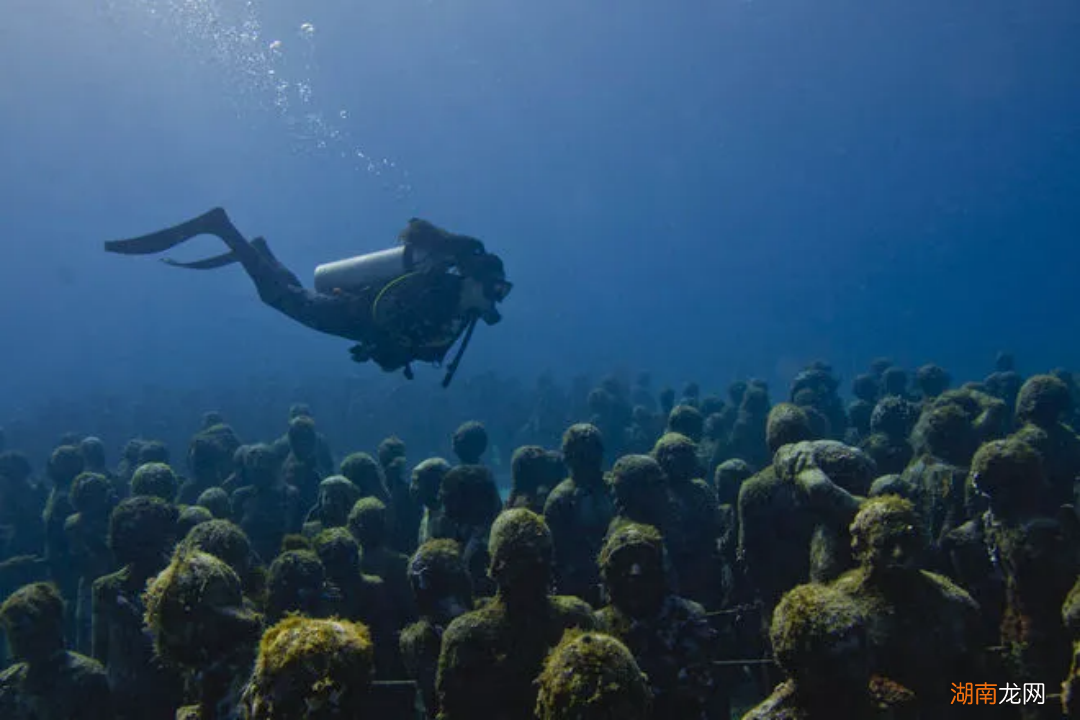 从臭豆腐到麻辣兔头，这些收藏怎么都能进博物馆？