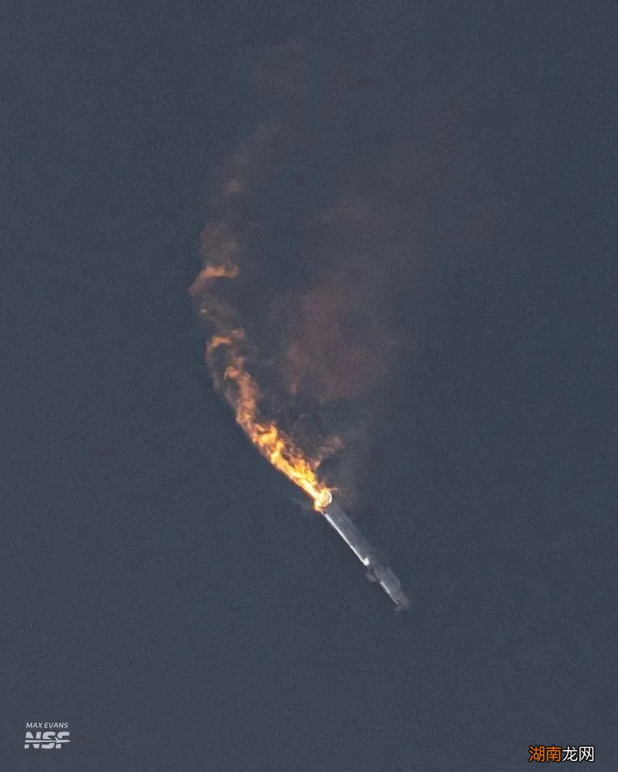 马斯克发火箭,要先给海豹戴耳机?真不是在搞笑吗?