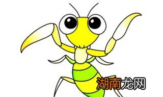 螳螂怎么画 螳螂简笔画教程