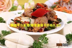 情感直播平台杨先生 情感平台直播