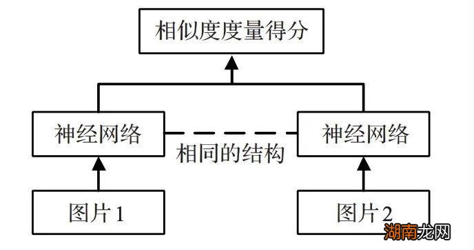 300万张图片，1.5万个斑马鱼胚胎，科学家实现AI胚胎识别