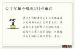 新手买车不知道买什么车险