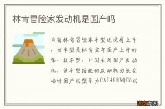 林肯冒险家发动机是国产吗