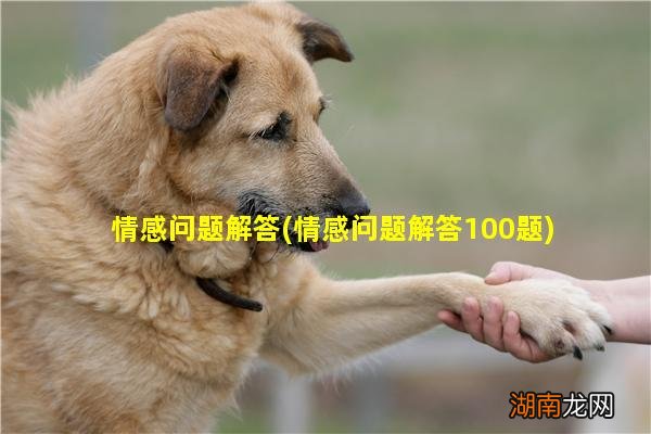 情感问题解答100题 情感问题解答