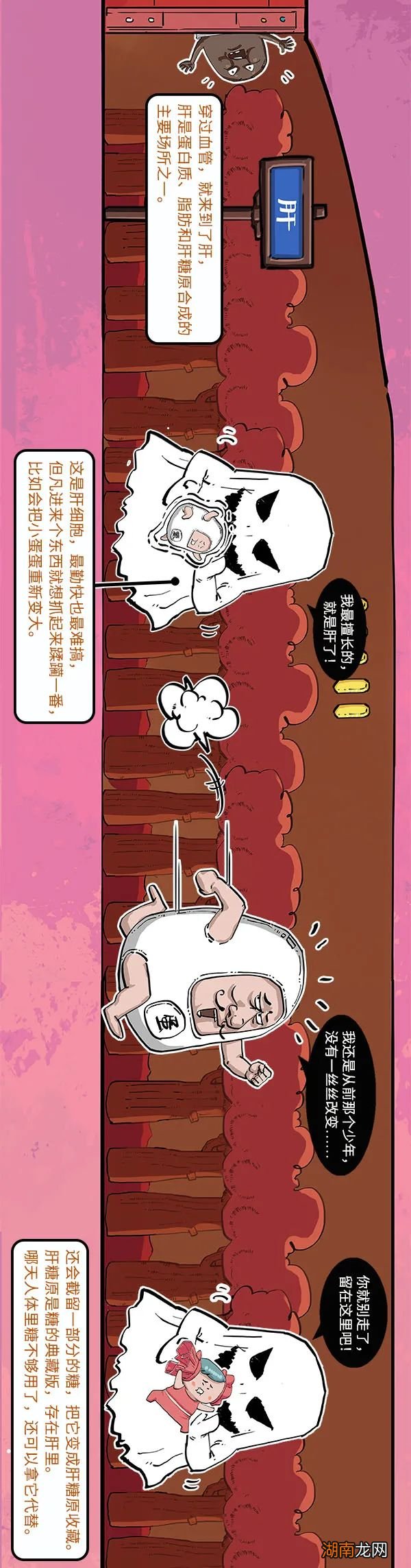 放心，喝两口奶茶不会胖的！但前提是……