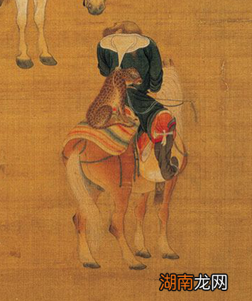 闪电杀手猎豹,原来是个大怂猫!