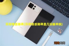 双相情感障碍是几级精神病 双相情感障碍