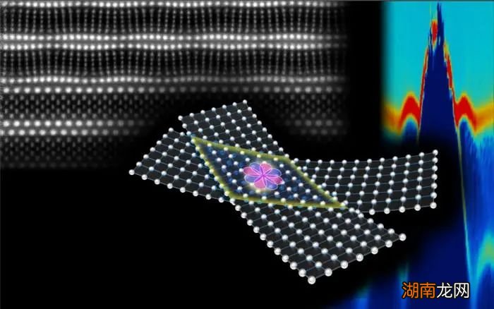 光诱导分子振动,让癌细胞破裂!|Science日报