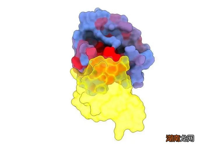 光诱导分子振动,让癌细胞破裂!|Science日报