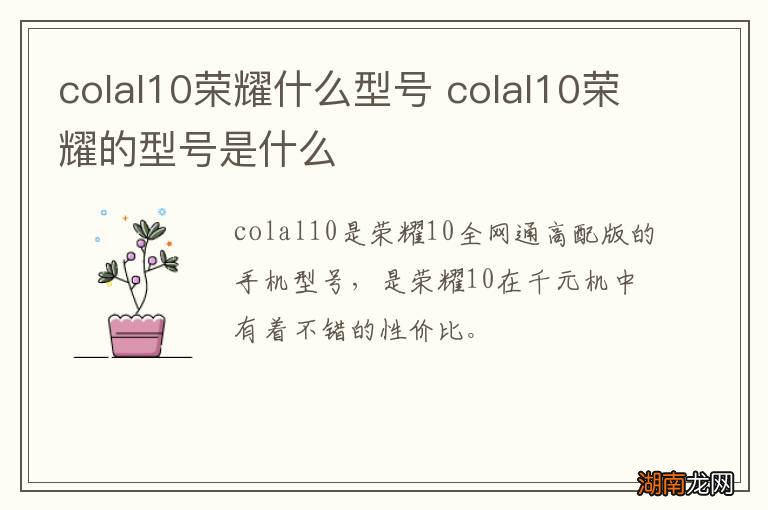 colal10荣耀什么型号 colal10荣耀的型号是什么