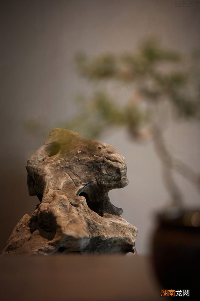 茶亭 | 两处不错的茶馆空间设计