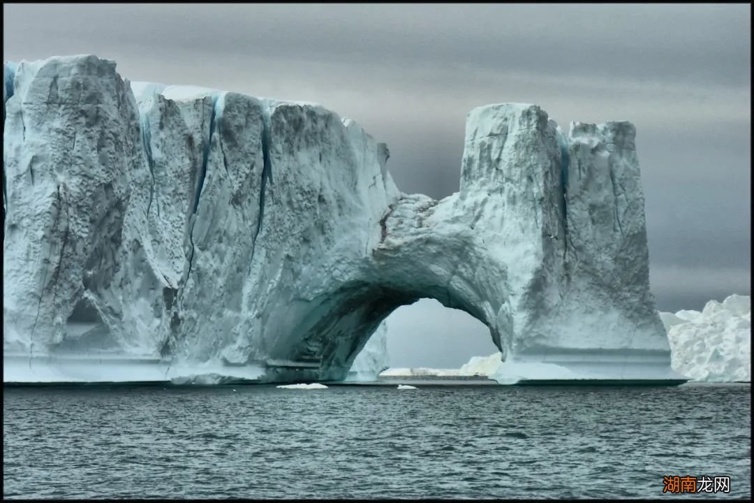 狼、驼鹿进入同一孤岛:69年后,狼竟然灭绝了!