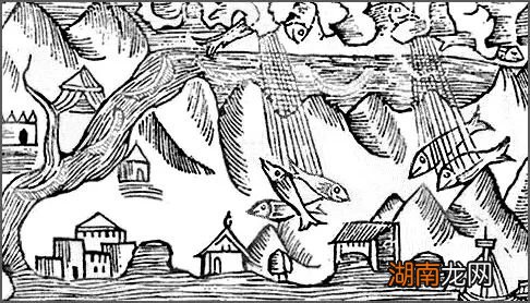 天上下鱼下肉?!可以捡回家吃么?