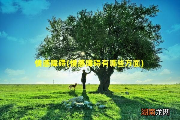 情感障碍有哪些方面 情感障碍