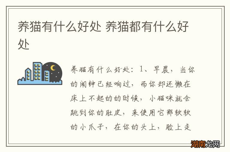 养猫有什么好处 养猫都有什么好处