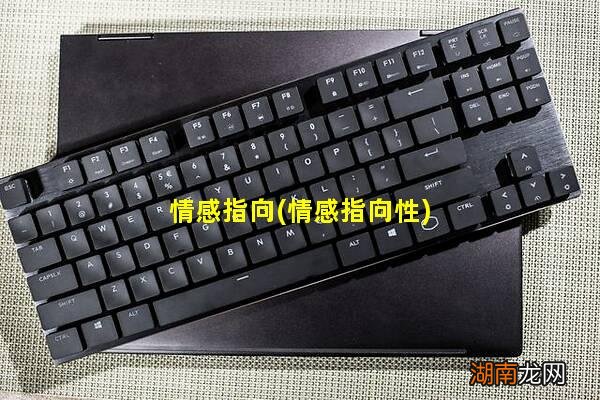 情感指向性 情感指向