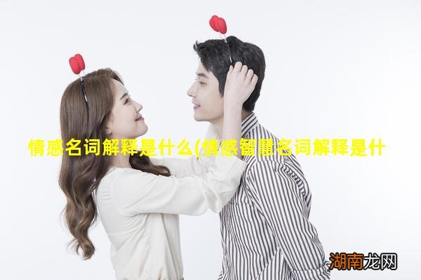 情感智慧名词解释是什么 情感名词解释是什么