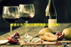 人类的情感分为几种 情感分为几类